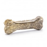 KIMO Chew Bone with Codfish skanėstas – kaulas šunims su menke