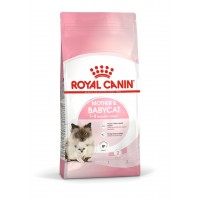 ROYAL CANIN FHN Mother&babycat