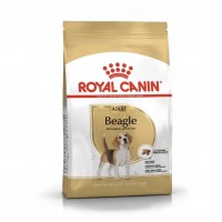 Royal Canin BEAGLE Adult sausas maistas šunims