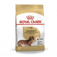 ROYAL CANIN BHN Dachshund Adult sausas pašaras šunims
