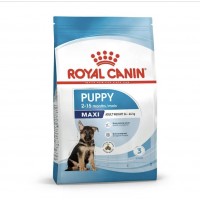 Royal Canin SHN Maxi puppy sausas pašaras šuniukams Royal Canin SHN Maxi puppy sausas pašaras šuniukams