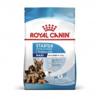 ROYAL CANIN SHN Maxi Starter sausas pašaras šuningoms bei žindančioms kalėms ir šuniukams ROYAL CANIN SHN Maxi Starter sausas pašaras šuningoms bei žindančioms kalėms ir šuniukams