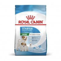 ROYAL CANIN SHN Mini Starter sausas pašaras šuningoms bei žindančioms kalėms ir šuniukams ROYAL CANIN SHN Mini Starter sausas pašaras šuningoms bei žindančioms kalėms ir šuniukams