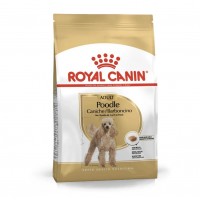 ROYAL CANIN BHN Poodle Adult sausas pašaras šunims
